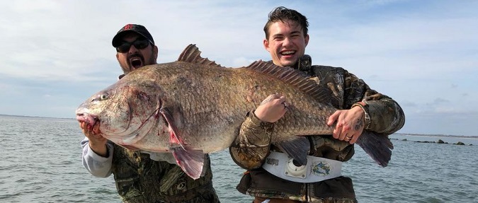 Fishermen believe they caught world record black drum 