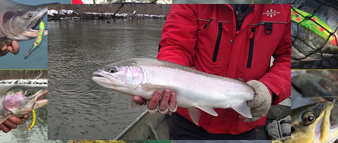 Back-Trolling Mag Lip for Winter Steelhead - Yakima Bait