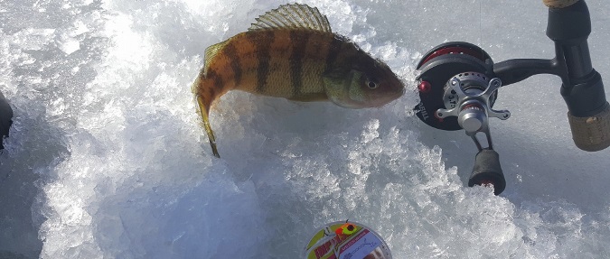 Panfish Ice Fishing Tips with Brian Bro Brosdahl