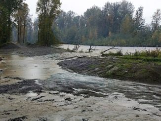 Puget Sound Flood Barrier Designed with Fish-Friendly Features