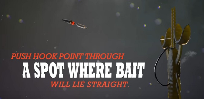 Tricks, Tips and Tactics to Catch More Fish 2