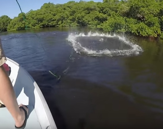 Flats Fishing in Florida