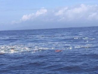 Floating Debris Mass off Molokai-Oahu