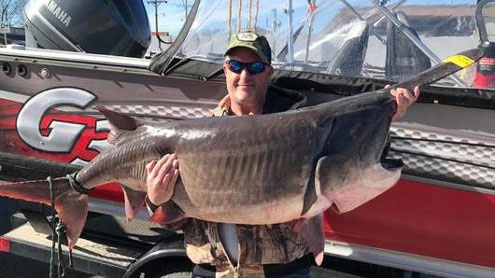 Giant Paddlefish From Grand Lake, Oklahoma