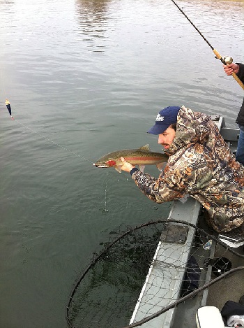 Jigs For Steelhead