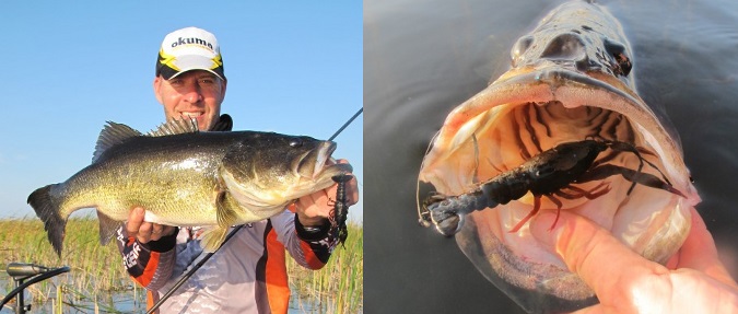 Springtime Bass Bed Fishing Basics From Savage Gear