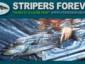 Stripers Forever