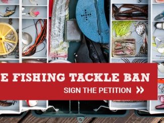 California Legislator Introduces Controversial Fishing Tackle Ban