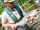 Chesapeake Plagued By Bay Blue Catfish