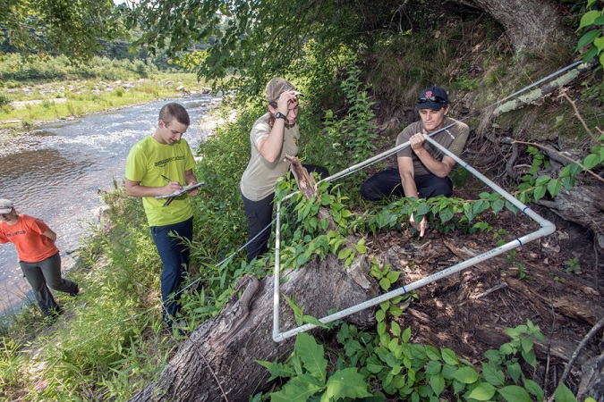 How Removing Dams Changes Local Vegetation