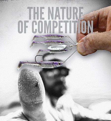 The Nature of Competition