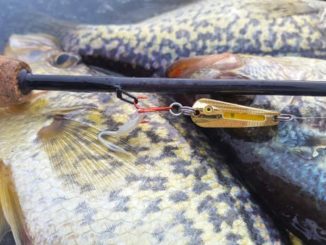 Try Northland Glo-Shot Spoons for Crappies