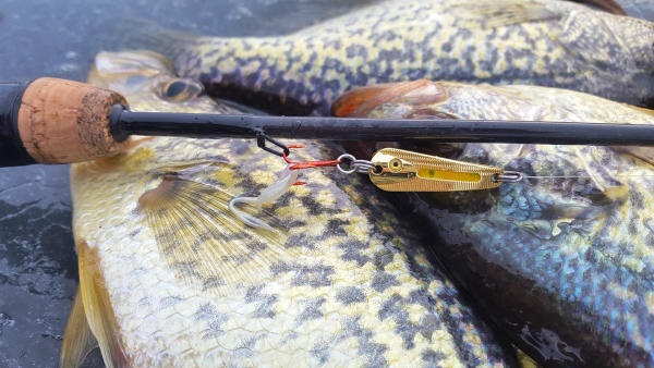 Try Northland Glo-Shot Spoons for Crappies