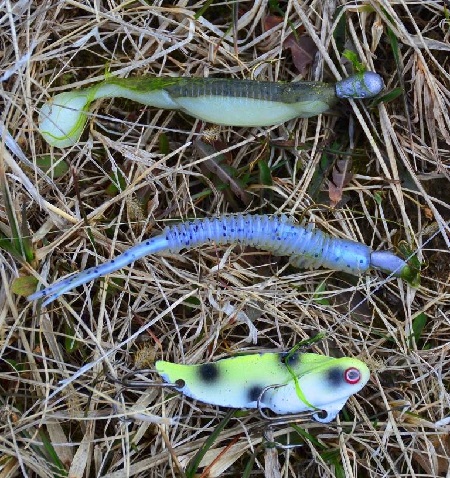 Fishing In The Cold Spring