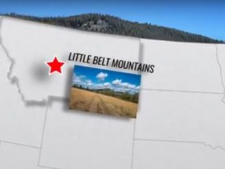 Montana Elk Habitat Conserved, Open to Public Access