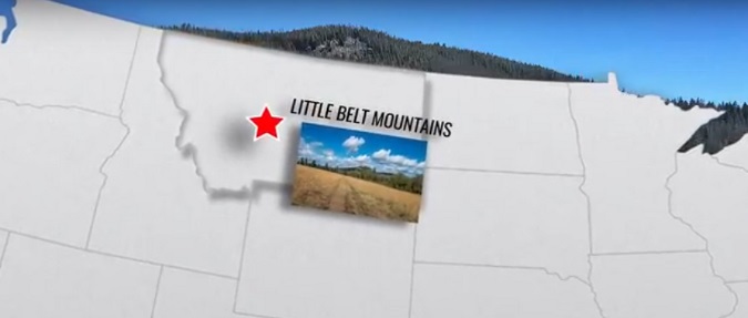 Montana Elk Habitat Conserved, Open to Public Access