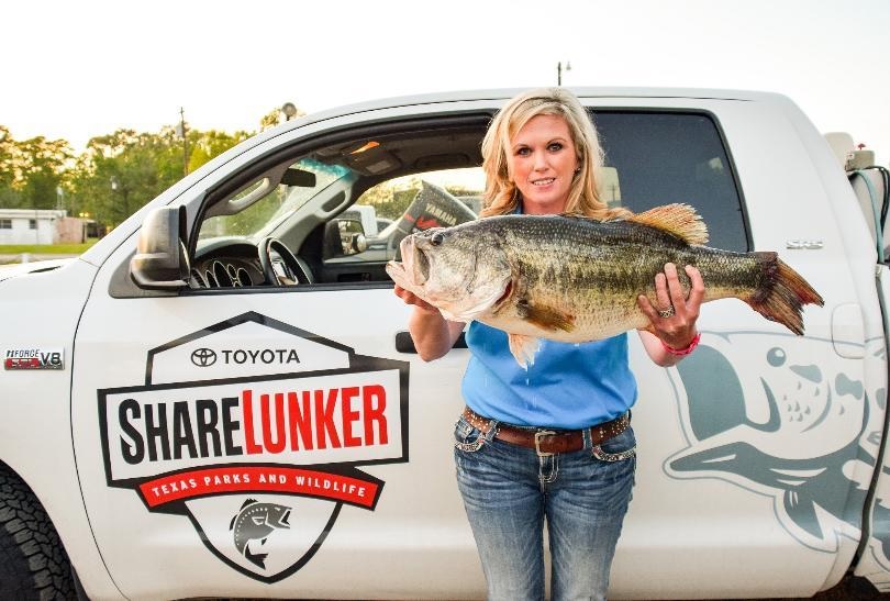 Sam Rayburn Yield A Texas ShareLunker Giant 