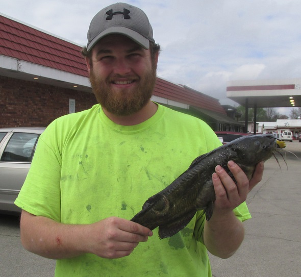 Wappapello angler sticks state-record yellow bullhead while bowfishing