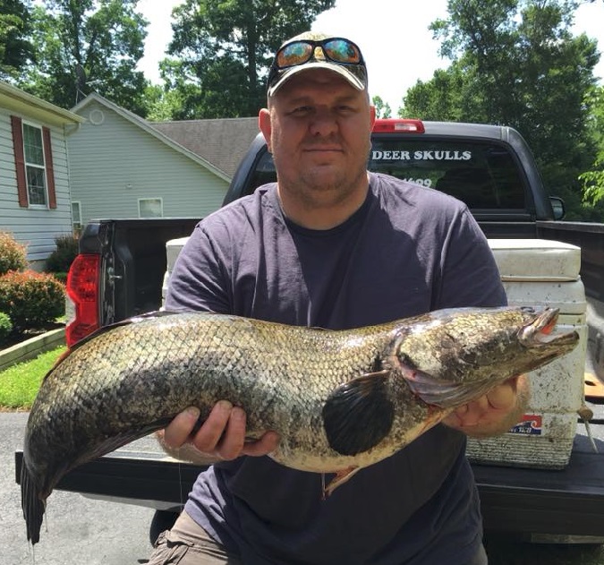 Mechanicsville Man Catches Record Snakehead in Charles County