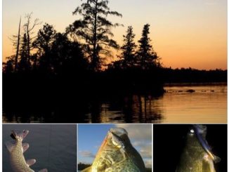 The Frontier Sports Fishing Report…………… June 7th, 2018