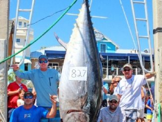 FWC approves new Florida Saltwater Fishing Records