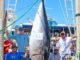 FWC approves new Florida Saltwater Fishing Records