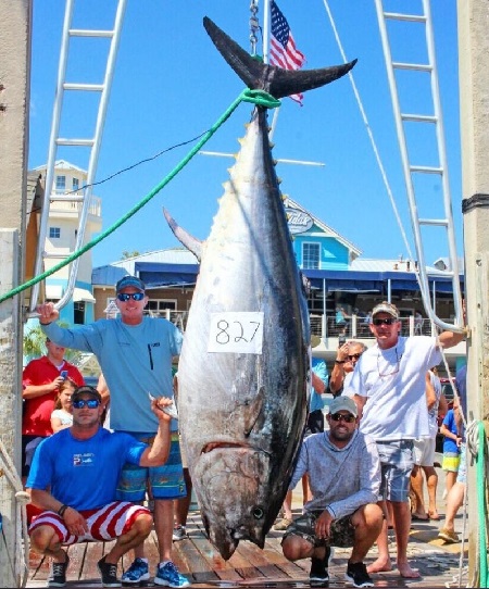 FWC approves new Florida Saltwater Fishing Records