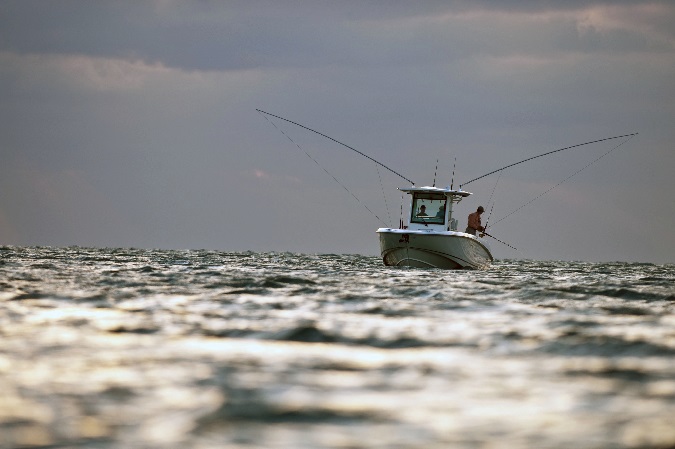 Saltwater Anglers Need to Speak Up Now - Modern Fish Act