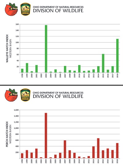 Lake Erie Western Basin Walleye, Yellow Perch Numbers Strong