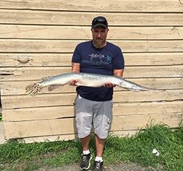 Rensselaer County Angler Catches State Record Longnose Gar