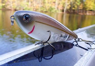 Top Picks for Late Summer Bass