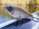 Top Picks for Late Summer Bass