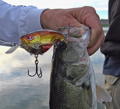 Fishing During Fall Turnover