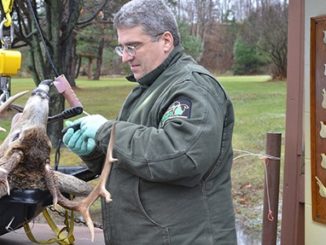 How and why deer are aged at DNR check stations