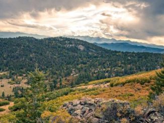 RMEF Helps Conserve Two Chunks of Colorado Elk Habitat