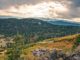 RMEF Helps Conserve Two Chunks of Colorado Elk Habitat