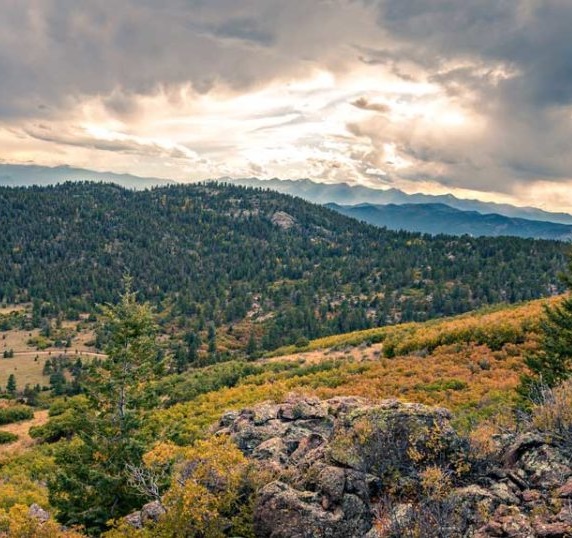 RMEF Helps Conserve Two Chunks of Colorado Elk Habitat