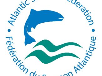 Atlantic Salmon Foundation Urges Reduction in Striper Population