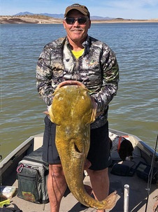 Elephant Butte Lake, N.M. Produces A Monster Cat