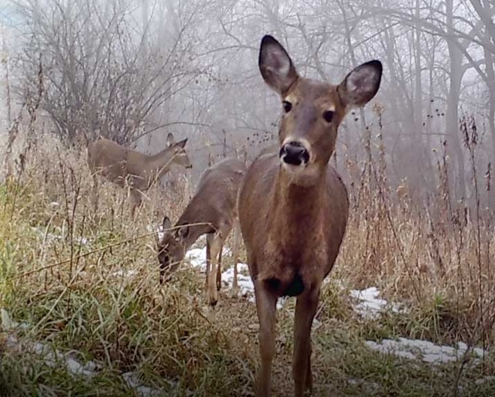 Whitetails Unlimited Contributes to Access Ability Wisconsin