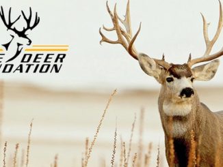 Mule Deer Foundation Receives National Fish and Wildlife Foundation Grant