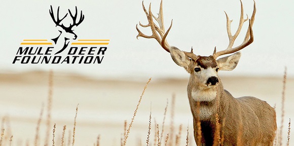 Mule Deer Foundation Receives National Fish and Wildlife Foundation Grant 