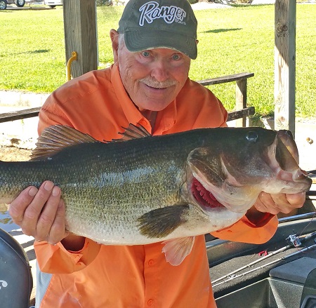 MyFWC - Shiners and Structure For Bass