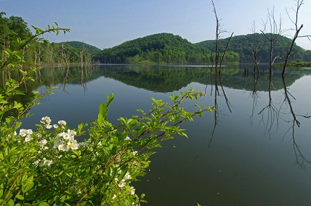 The Conservation Fund Acquires 18,000 Acres In West Virginia