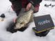 The Evolving Game of Sight-Fishing on Ice