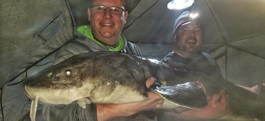 78-inch, 120-pound sturgeon landed on the St. Croix