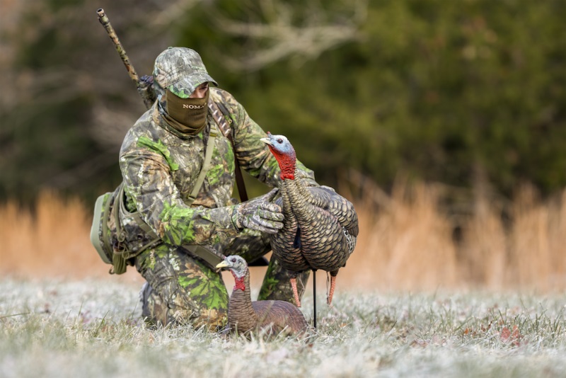 Avian-X- HDR Jake - turkey hunting