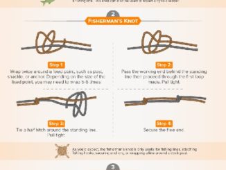 Knots Essential for the Outdoors