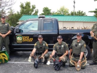 Major Fish and Wildlife Poaching Ring Shut Down