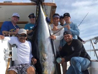 Massive 450 Pound Yellowfin Boated